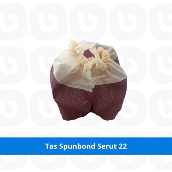 Tas Spunbond Serut 22